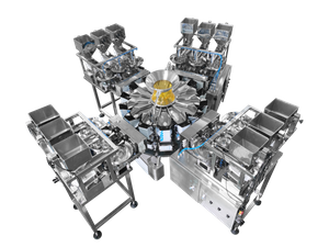 Weighing and packaging system for 5 nuts