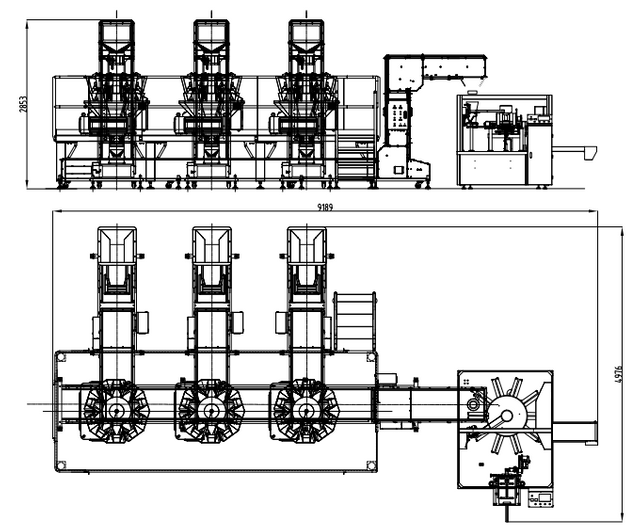 Pet food weighing and packaging system with variable weights