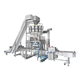 Small-size fruits linear filling system.png
