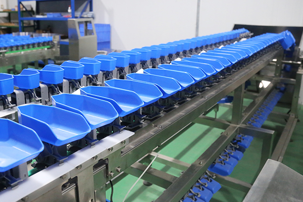 <h3><strong>Durable &amp; Versatile Design</strong></h3> 