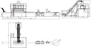 Longan weighing and filling system