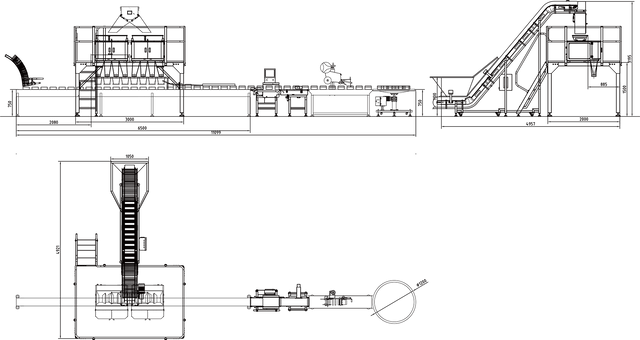 Longan weighing and filling system
