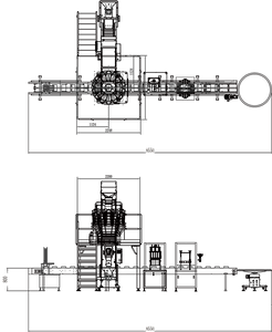 Dates weighing and box packaging system