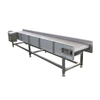 Stainless Steel Mesh Chain Conveyor | Custom Industrial Conveyor Line Solutions
