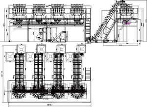 Meatballs weighing and packaging system