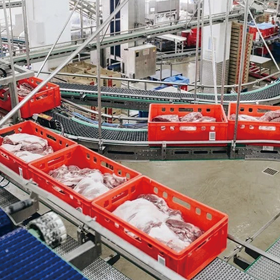 Fully-automatic pork processing and weighing production line.png