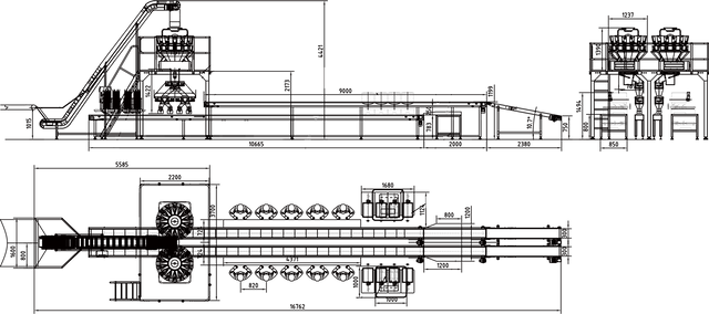 Crayfish weighing and cartoning system