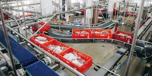 Fully-automatic pork processing and weighing production line