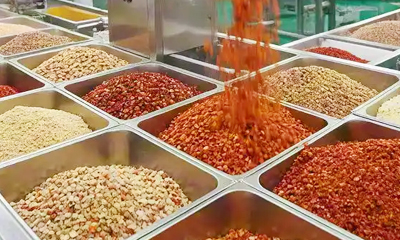 bowl-conveyors8