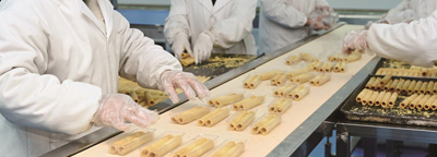 bowl-conveyors4