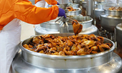 bowl-conveyors7